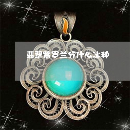翡翠紫罗兰分什么冰种/2023060685915