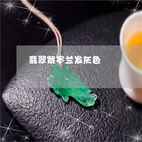 翡翠紫罗兰发灰色/2023030439483 翡翠紫罗兰发灰色/2023030439483