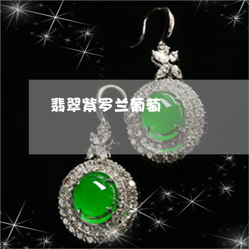 翡翠紫罗兰葡萄/2023032407289