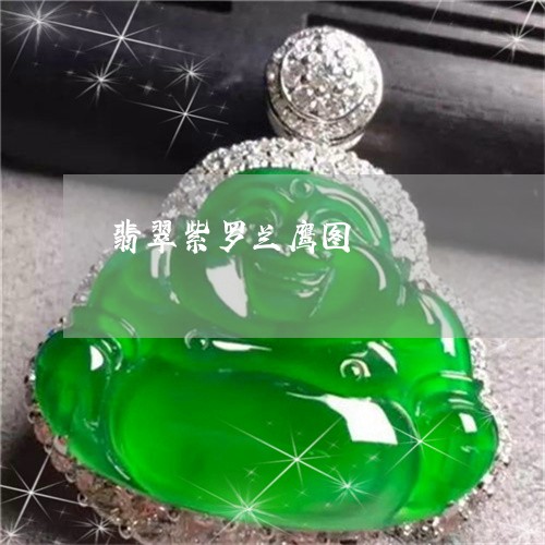 翡翠紫罗兰鹰图/2023032460461 翡翠紫罗兰鹰图/2023032460461