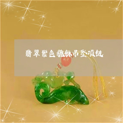 翡翠紫色貔貅吊坠项链/2023060618591