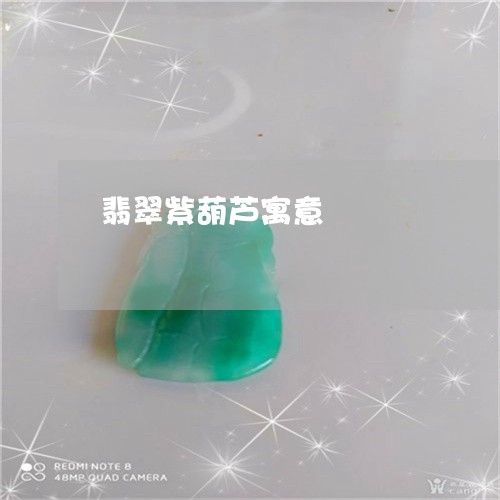 翡翠紫葫芦寓意/2023032405717