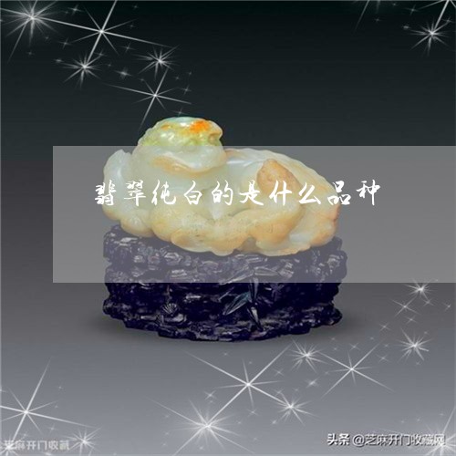 翡翠纯白的是什么品种/2023060683813
