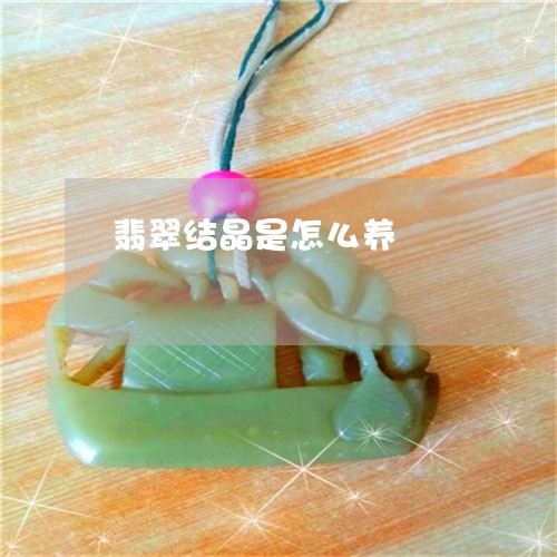 翡翠结晶是怎么养/2023030384926 翡翠结晶是怎么养/2023030384926