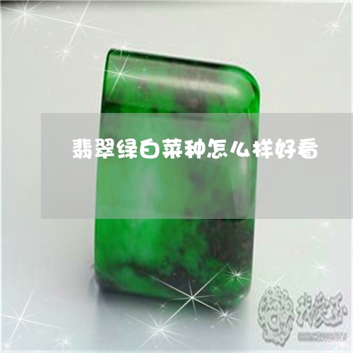 翡翠绿白菜种怎么样好看/2023071092069