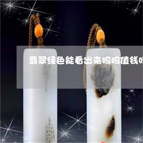 翡翠绿色能看出来吗吗值钱吗/2023063004847