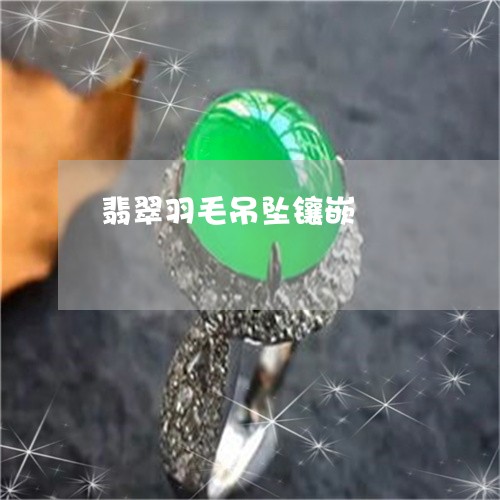 翡翠羽毛吊坠镶嵌/2023030378360