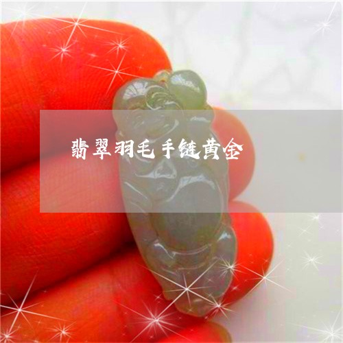 翡翠羽毛手链黄金/2023030339271