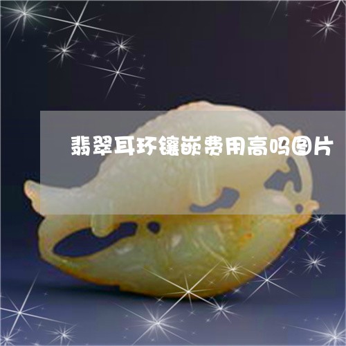 翡翠耳环镶嵌费用高吗图片/2023061901736