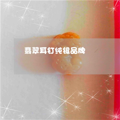 翡翠耳钉纯银品牌/2023030425825 翡翠耳钉纯银品牌/2023030425825