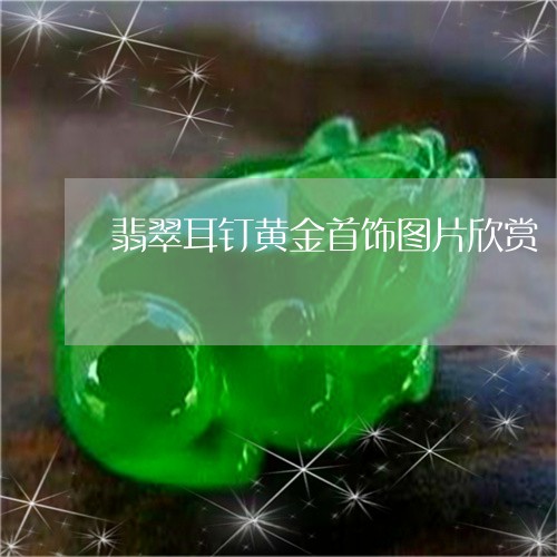 翡翠耳钉黄金首饰图片欣赏/2023071163514 翡翠耳钉黄金首饰图片欣赏/2023071163514