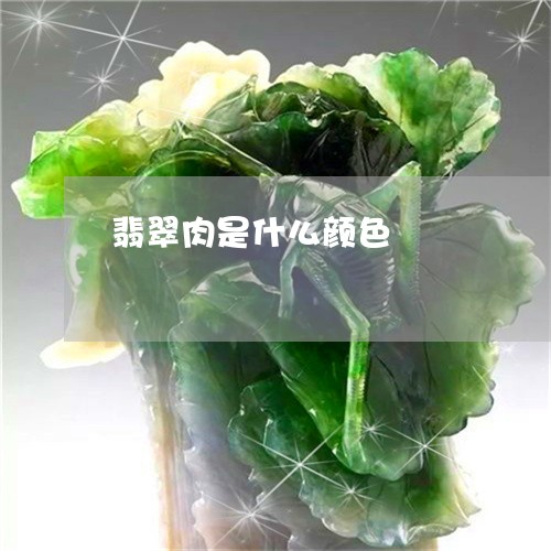 翡翠肉是什么颜色/2023062135149