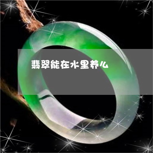 翡翠能在水里养么/2023030382937 翡翠能在水里养么/2023030382937