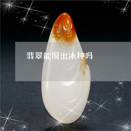 翡翠能摸出冰种吗/2023030395048 翡翠能摸出冰种吗/2023030395048