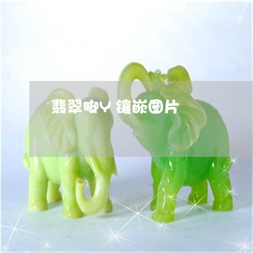 翡翠脚Y镶嵌图片/2023062229403