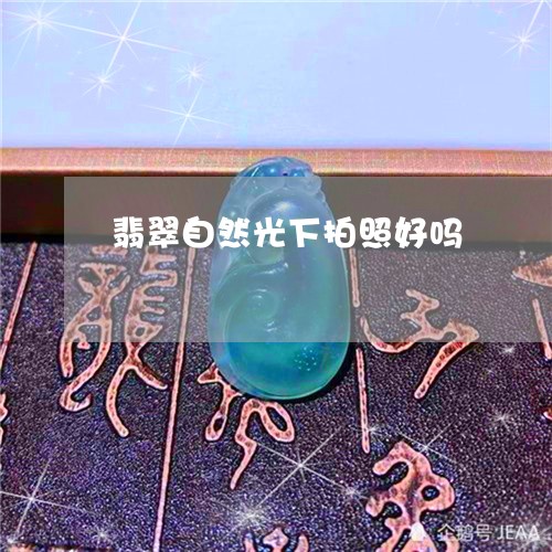 翡翠自然光下拍照好吗/2023071194626