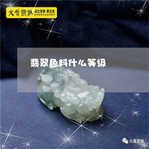 翡翠色料什么等级/2023030379450 翡翠色料什么等级/2023030379450