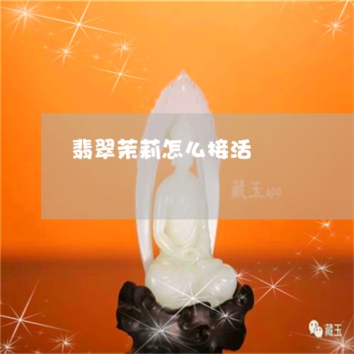 翡翠茉莉怎么接活/2023030415271