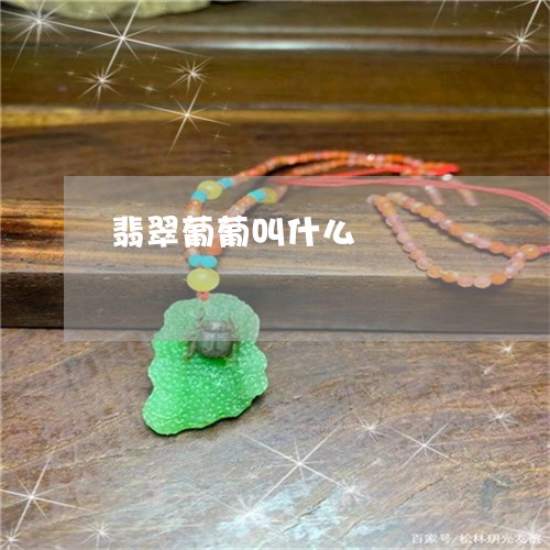 翡翠葡葡叫什么/2023032497169 翡翠葡葡叫什么/2023032497169