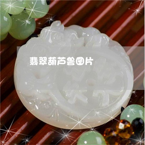 翡翠葫芦兽图片/2023032485047 翡翠葫芦兽图片/2023032485047