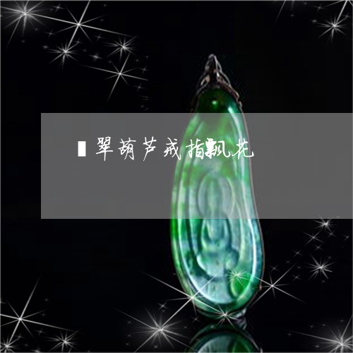 翡翠葫芦戒指飘花/2023030424068 翡翠葫芦戒指飘花/2023030424068