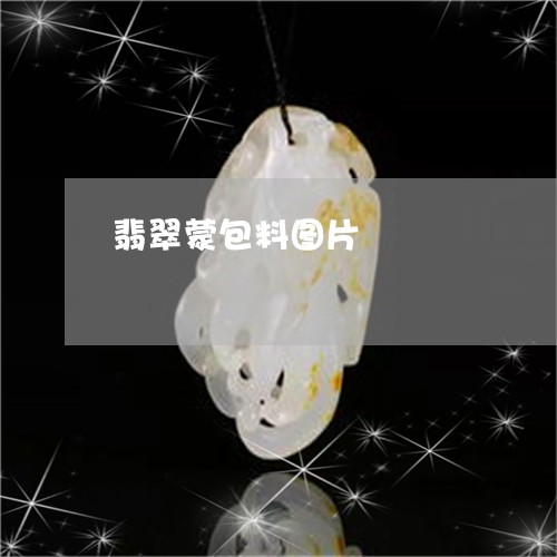 翡翠蒙包料图片/2023032441260