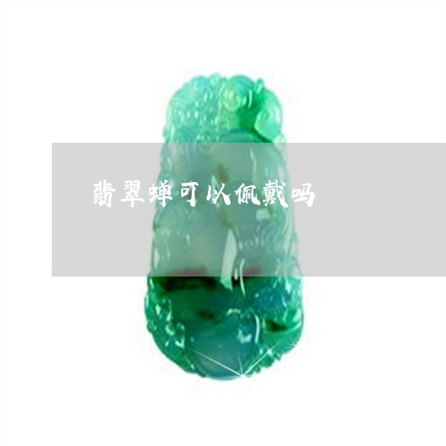 翡翠蝉可以佩戴吗/2023030315059 翡翠蝉可以佩戴吗/2023030315059
