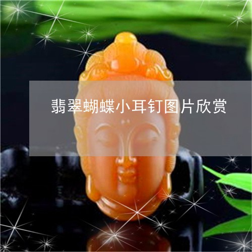 翡翠蝴蝶小耳钉图片欣赏/2023061897594