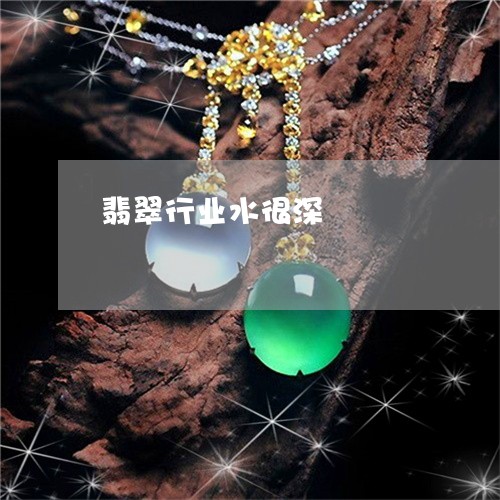 翡翠行业水很深/2023032414259 翡翠行业水很深/2023032414259
