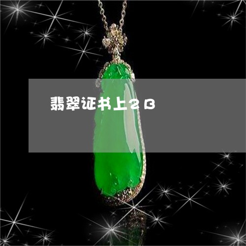 翡翠证书上2B/2023032457371 翡翠证书上2B/2023032457371