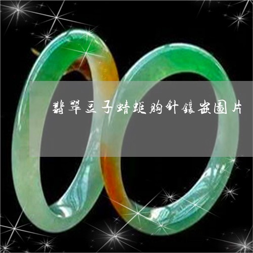 翡翠豆子蜻蜓胸针镶嵌图片/2023061900613