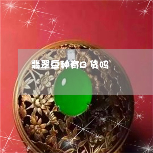 翡翠豆种有B货吗/2023030340239 翡翠豆种有B货吗/2023030340239