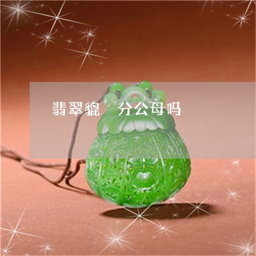 翡翠貔恘分公母吗/2023030289604 翡翠貔恘分公母吗/2023030289604