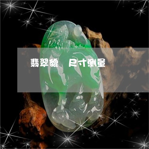 翡翠貔恘尺寸测量/2023062119262