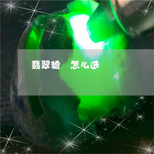 翡翠貔恘怎么选/2023032436946