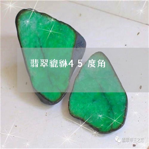 翡翠貔貅45度角/2023030240503 翡翠貔貅45度角/2023030240503