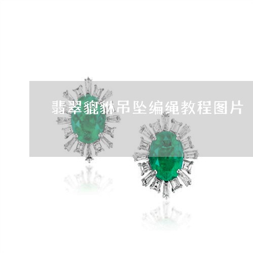 翡翠貔貅吊坠编绳教程图片/2023071184604