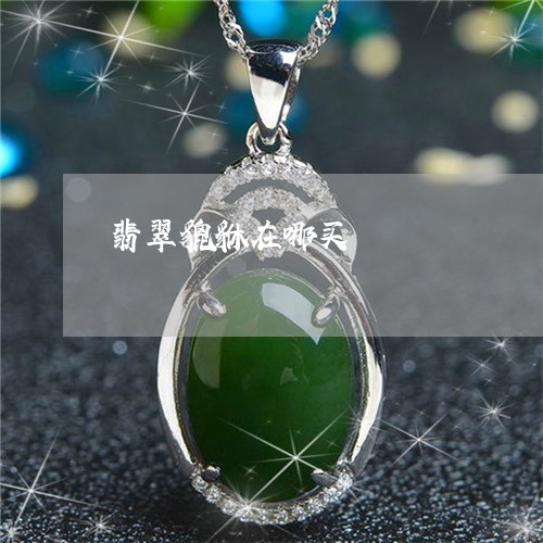 翡翠貔貅在哪买/2023032407370 翡翠貔貅在哪买/2023032407370
