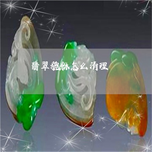 翡翠貔貅怎么清理/2023030404858 翡翠貔貅怎么清理/2023030404858