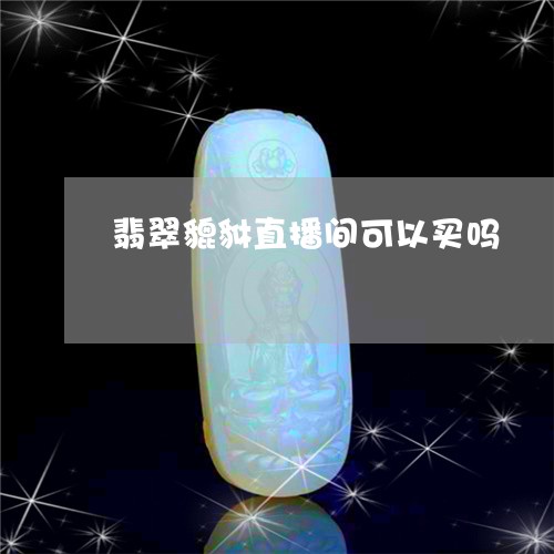 翡翠貔貅直播间可以买吗/2023061974259