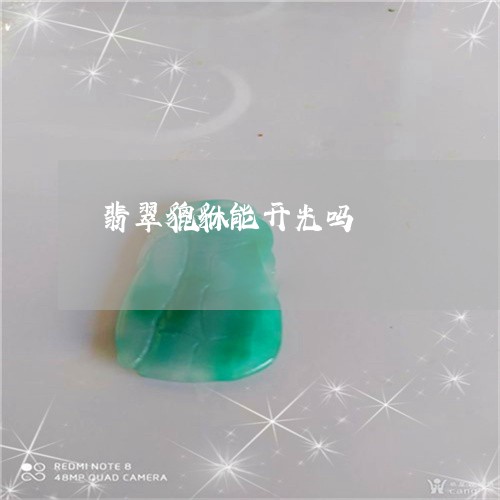 翡翠貔貅能开光吗/2023030462724