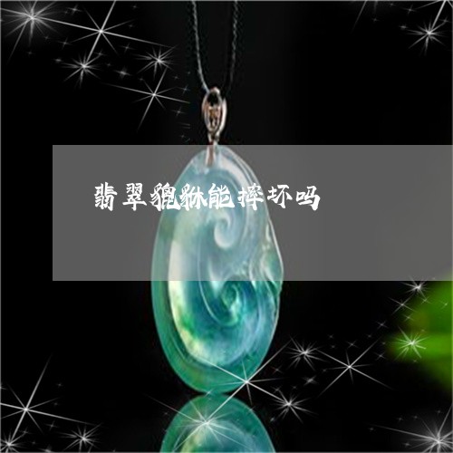 翡翠貔貅能摔坏吗/2023030495240