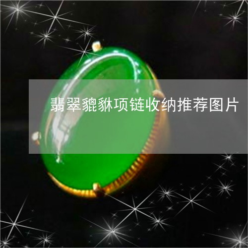 翡翠貔貅项链收纳推荐图片/2023071151393