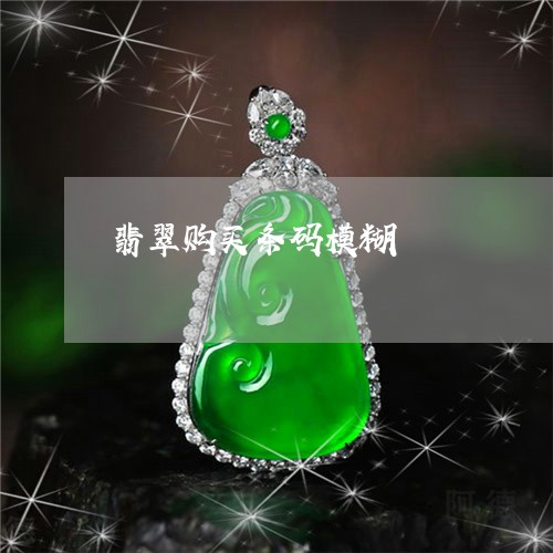 翡翠购买条码模糊/2023030479272 翡翠购买条码模糊/2023030479272