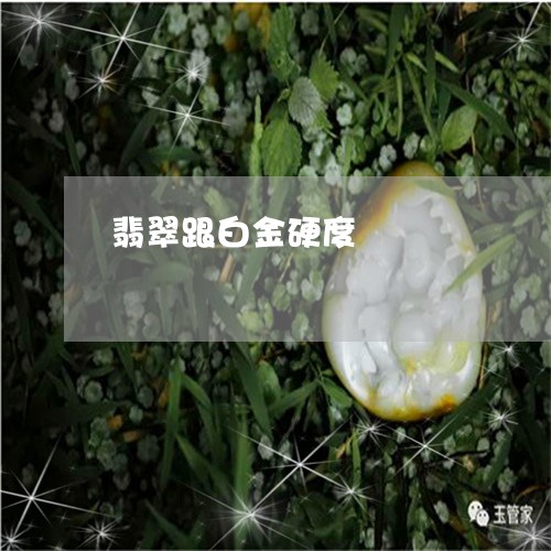 翡翠跟白金硬度/2023032404703 翡翠跟白金硬度/2023032404703
