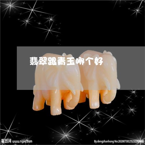 翡翠跟青玉哪个好/2023030478393