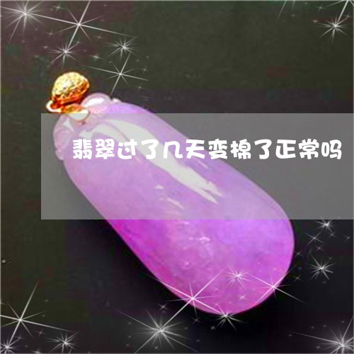 翡翠过了几天变棉了正常吗/2023071185850