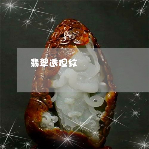 翡翠透但纹/2023071315060