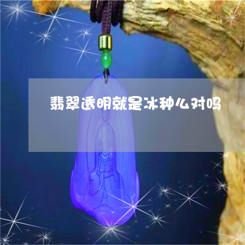 翡翠透明就是冰种么对吗/2023061808250