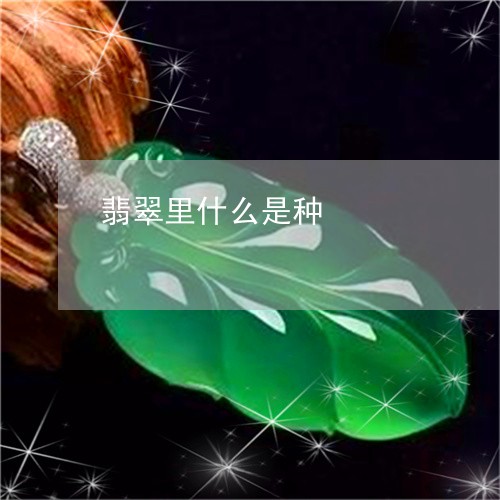 翡翠里什么是种/2023032368582